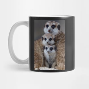 Three Faces Mug